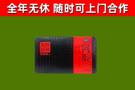 金林区回收阿胶